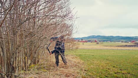 man pruning bare branches of a tree - wide shot