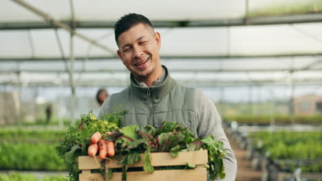 agricultor, hombre y caja de verduras para la agricultura