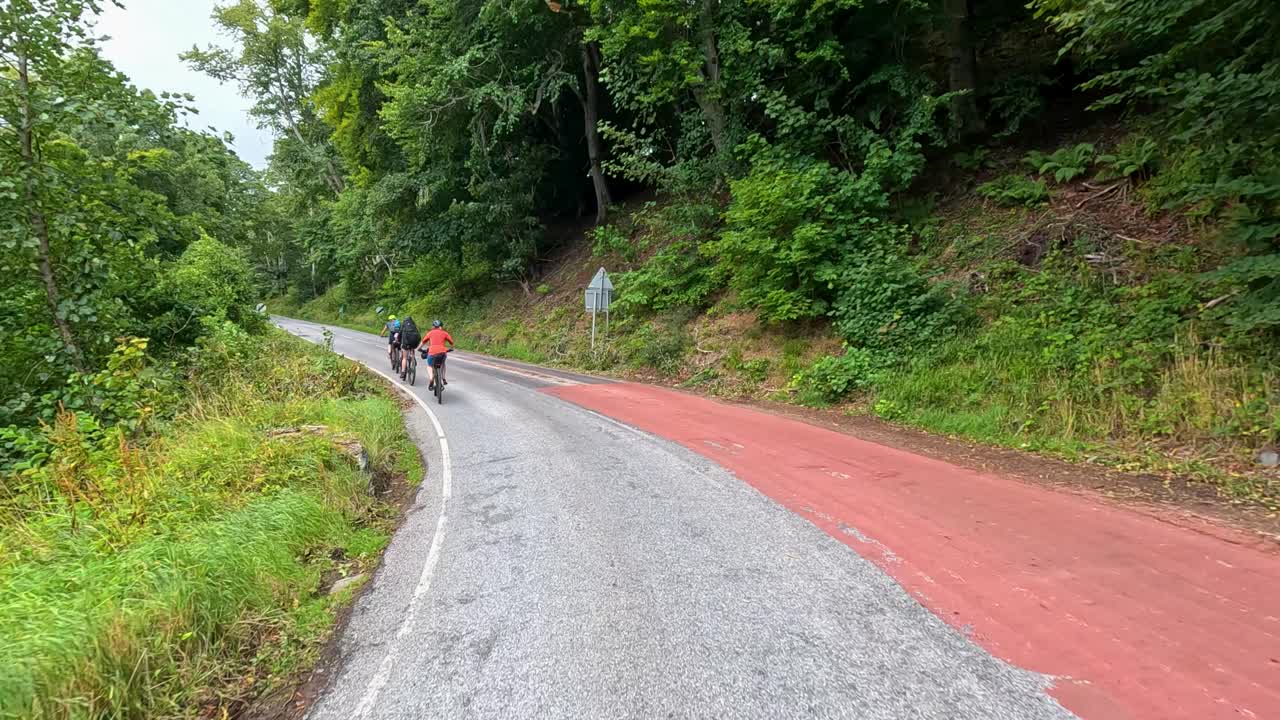 A group of cyclists ascends a winding rural road bordered by dense green forest under overcast daylight, captured in a smooth, wide static shot