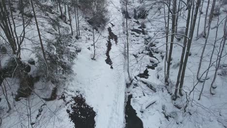 dynamic drone shot of winter forest 4k