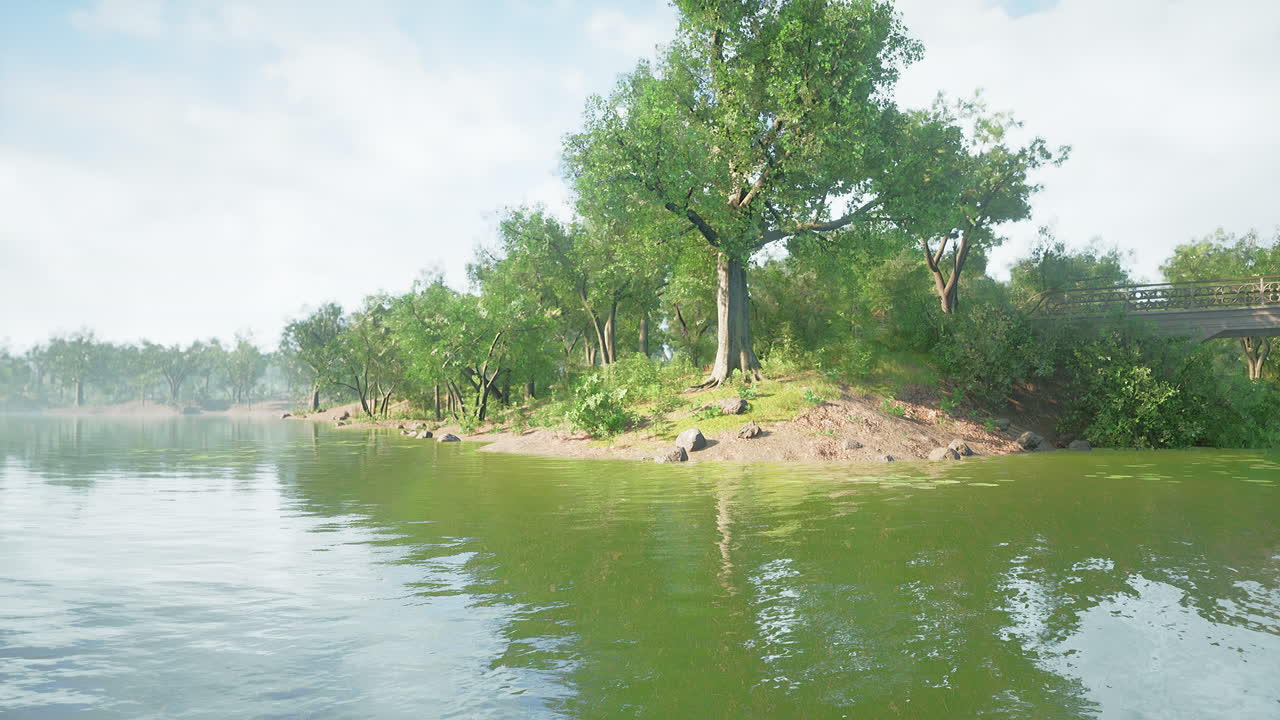 푸른 잔디 필드와 공공 공원에서 아름 다운 아침 빛