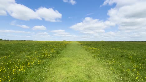 walking on open grass field pathway