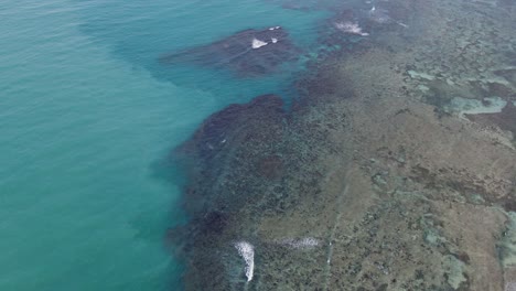 aerial drone shot of dead coral reefs along transparent tropical ocean waters with tidal waves during daytime