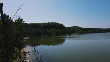 Still-image-near-trees-in-summer