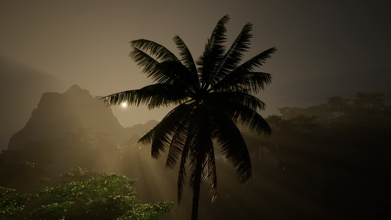silueta de una palmera en una selva tropical al atardecer