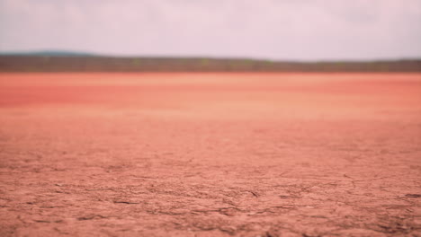 gebarsten droog land zonder water