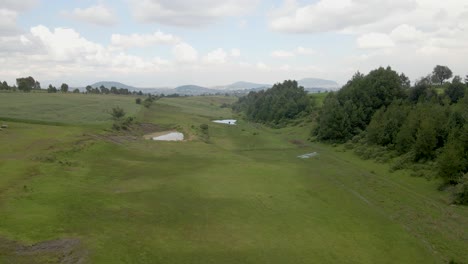 Aerial-view-of-beautiful-bright-green-pastures-landscape-and-forests