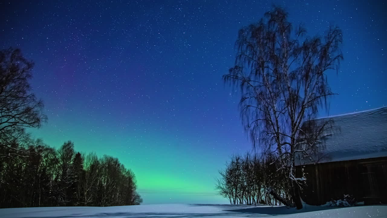 paisaje nevado con árboles de casa y aurora boreal iluminando el cielo en el fondo