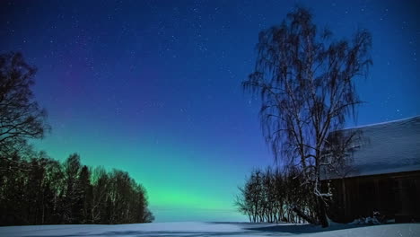 Verschneite-Landschaft-Mit-Hausbäumen-Und-Aurora-Borealis-Nordlichtern,-Die-Den-Himmel-Im-Hintergrund-Erhellen