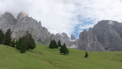 Picturesque-aerial-view-of-the-meadow-and-lone-spruce-trees