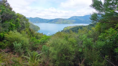 a view of endeavour inlet in the south island of new zealand