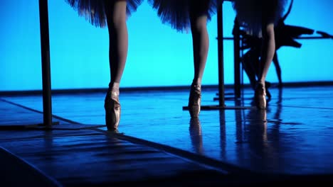 Ballerinas-practicing-at-the-bar