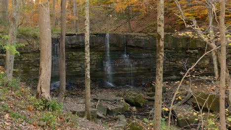 tranquil wooded area with a warm autumn feel and gentle waterfall