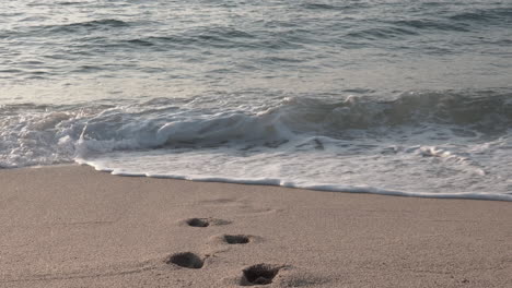 4k clip of footprints on the sand being removed by little waves crashing on shore on a clean beach of the mediterranean sea in barcelona with beautiful soft light early in an early summer morning