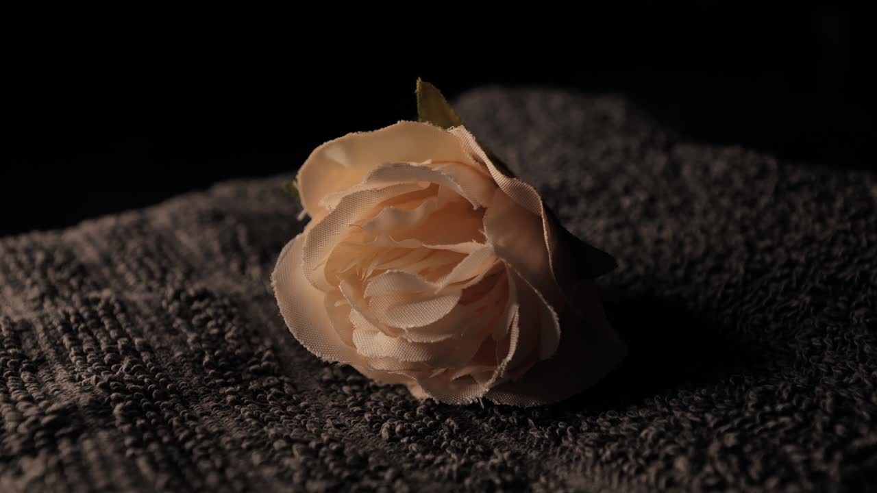Rosa artificiale che ruota su un asciugamano con illuminazione drammatica in uno studio buio