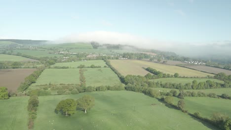 panoramic aerial view of evergreen farmland in the county wexford in ireland