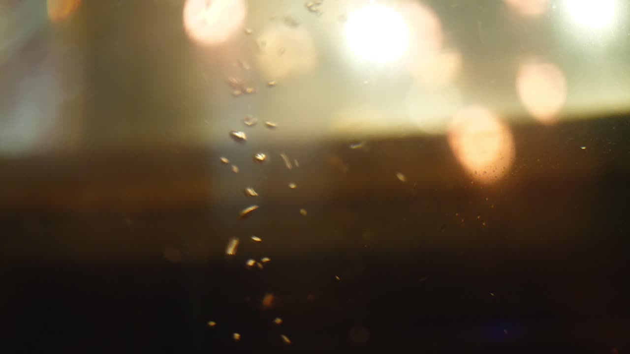 밤 에 창문 을 통해 술 을 마시는 것 의 흐릿 한 시각