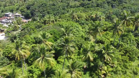 Beautiful-Sunny-Beach-day-on-Brazils-Coast-showing-Iconic-Beaches-with-a-Drone