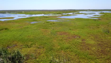 wetlands of northeast argentina shooted with drone