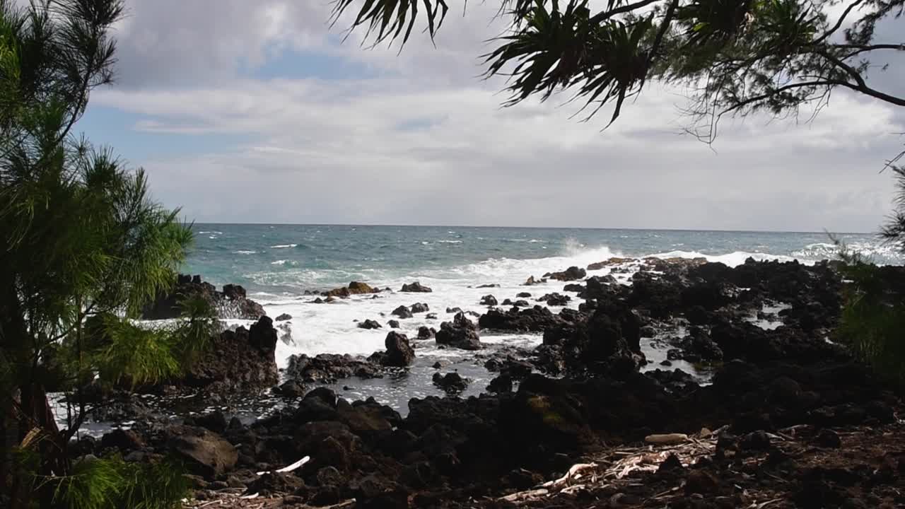Tropical plants frame the heavy surf off the coast of Maui, Hawaii.
