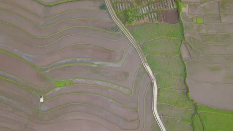 aerial view of terraced rice fields in magelang, indonesia