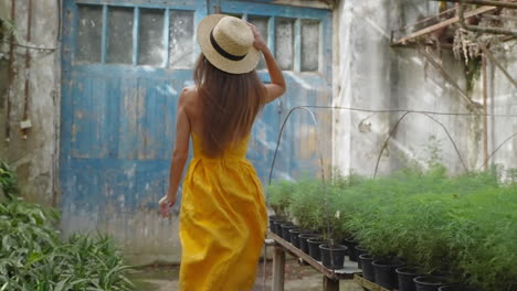 woman in a greenhouse