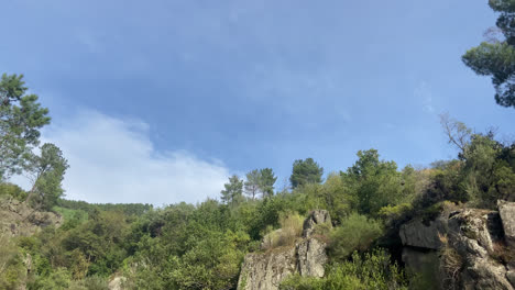 beautiful general shot with zoom in to a group of trees located at the top of a ravine outside the river in broad daylight in spain