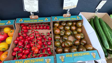 variety of tomatoes and cucumbers on display