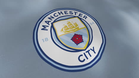 manchester city football club logo on a fabric