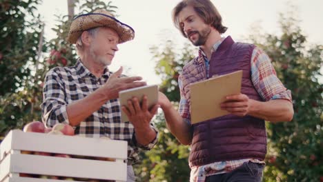 handheld view of conversation between business partners in the orchard