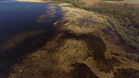 praderas inundadas en el lago burtnieks primavera temprana con alto nivel de agua