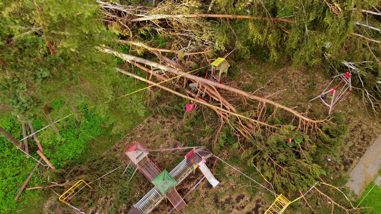 어린이 놀이터 에 쓰러진 나무 들