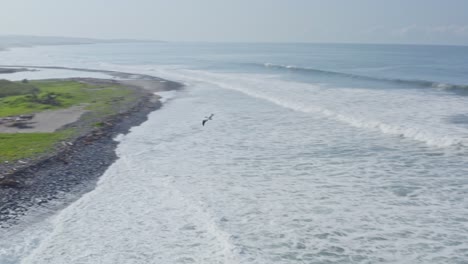 Hermoso-Pelícano-Blanco-Americano-Volando-Frente-A-La-Costa-Del-Pacífico-Mexicano,-Vista-Aérea