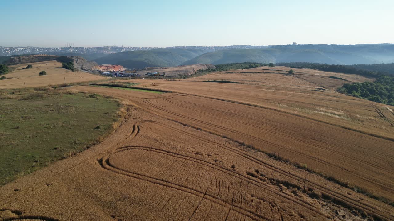 Drone flying over forest and field