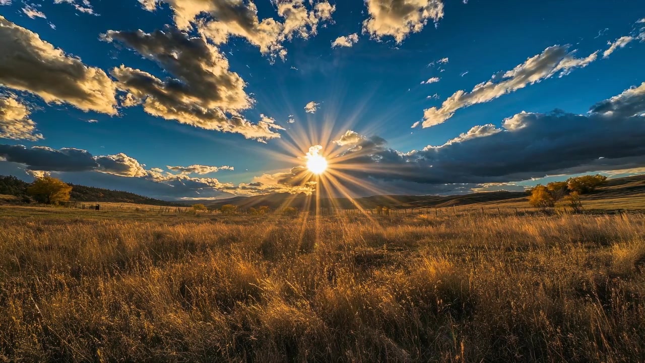 Golden Sunset Over Vast Grassy Meadow Landscape
