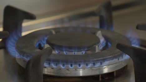 llama azul en el quemador de la estufa de gas metano