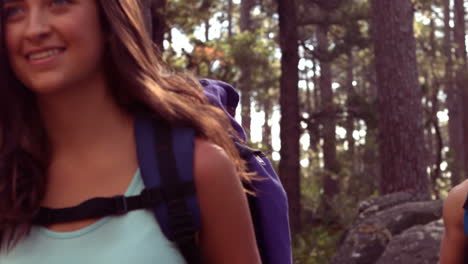 couple hiking through a forest