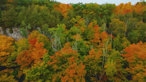 Flying-over-colorful-autumn-foliage