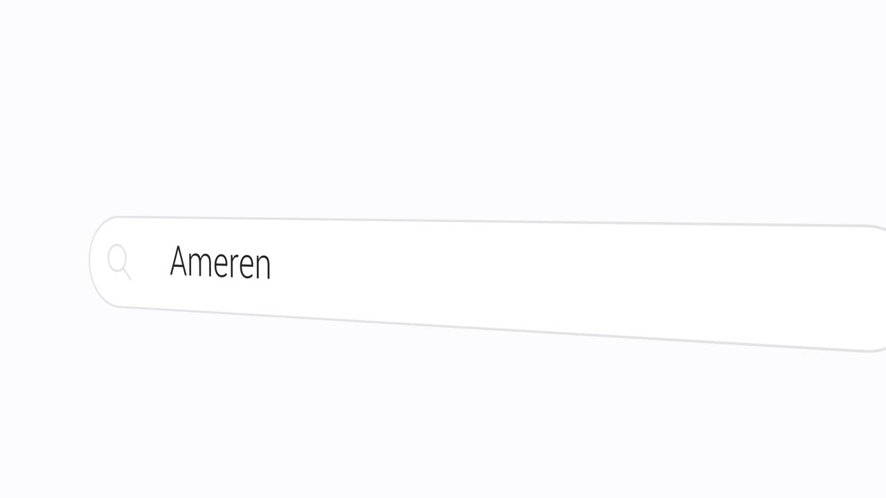 digitare ameren sul motore di ricerca