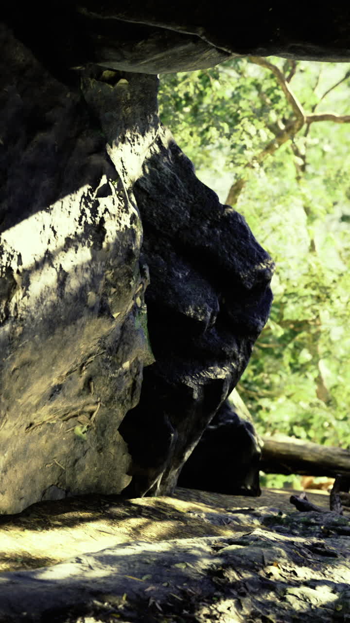Antica copertura rocciosa che rivela un paesaggio verde brillante attraverso un’oscurità materica