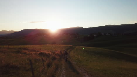 three mountain bikers driving down a grass hill during sunset