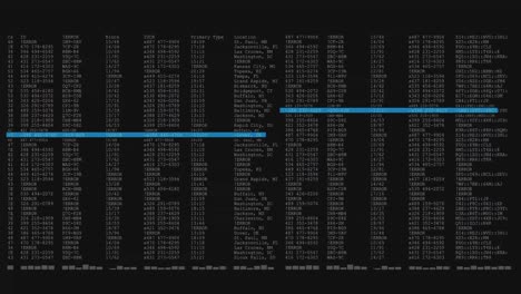 animación del procesamiento de datos en una pantalla de computadora negra y azul