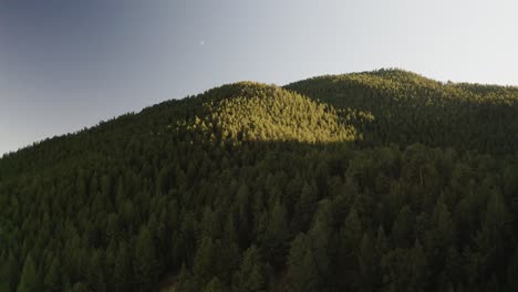 Drohnenaufnahme,-Die-Die-Goldenen-Farbtöne-Eines-Sonnenuntergangs-In-Colorado-Einfängt-Und-Einen-Warmen,-ätherischen-Glanz-über-Eine-Weite-Fläche-Mit-Kiefern-Bewachsener-Berge-Wirft