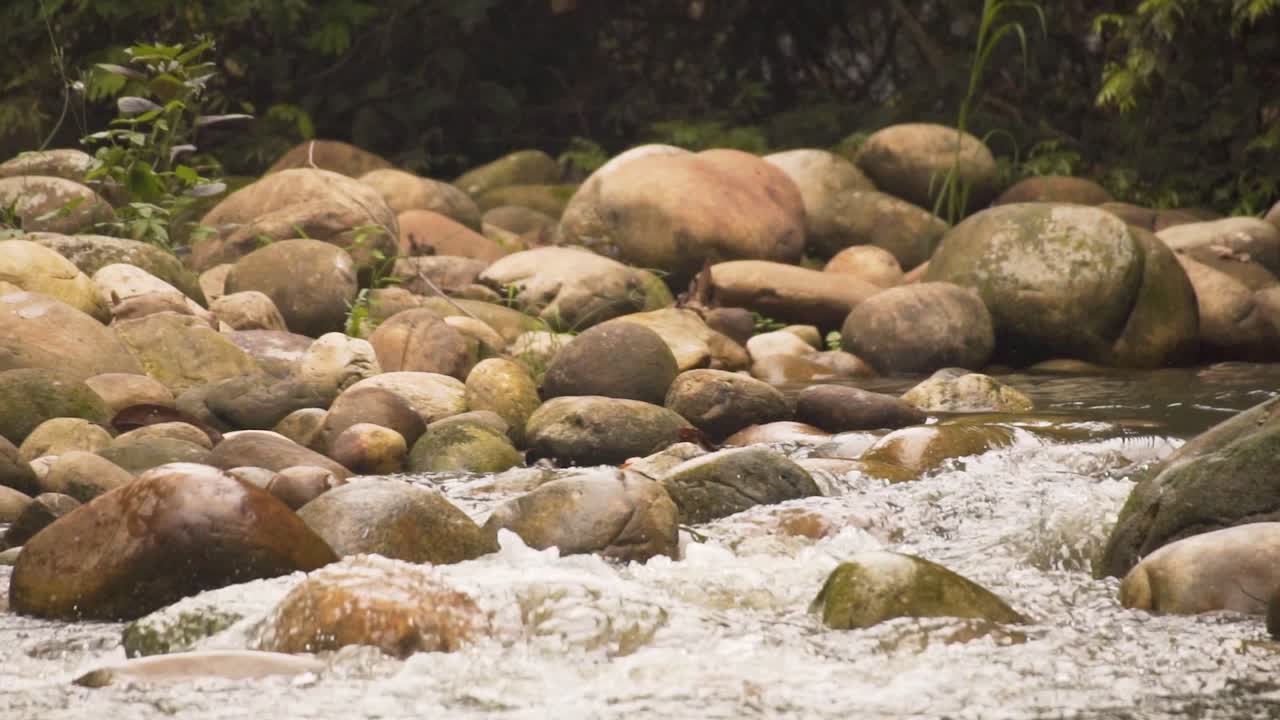 Rushing Downstream With Huge Boulders In Tropical Rainforest. Static Shot