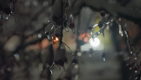 las ramas de los árboles heladas cubiertas de hielo brillan en el resplandor de la cálida luz distante, creando una escena serena de la noche de invierno con reflejos brillantes y efectos bokeh suaves