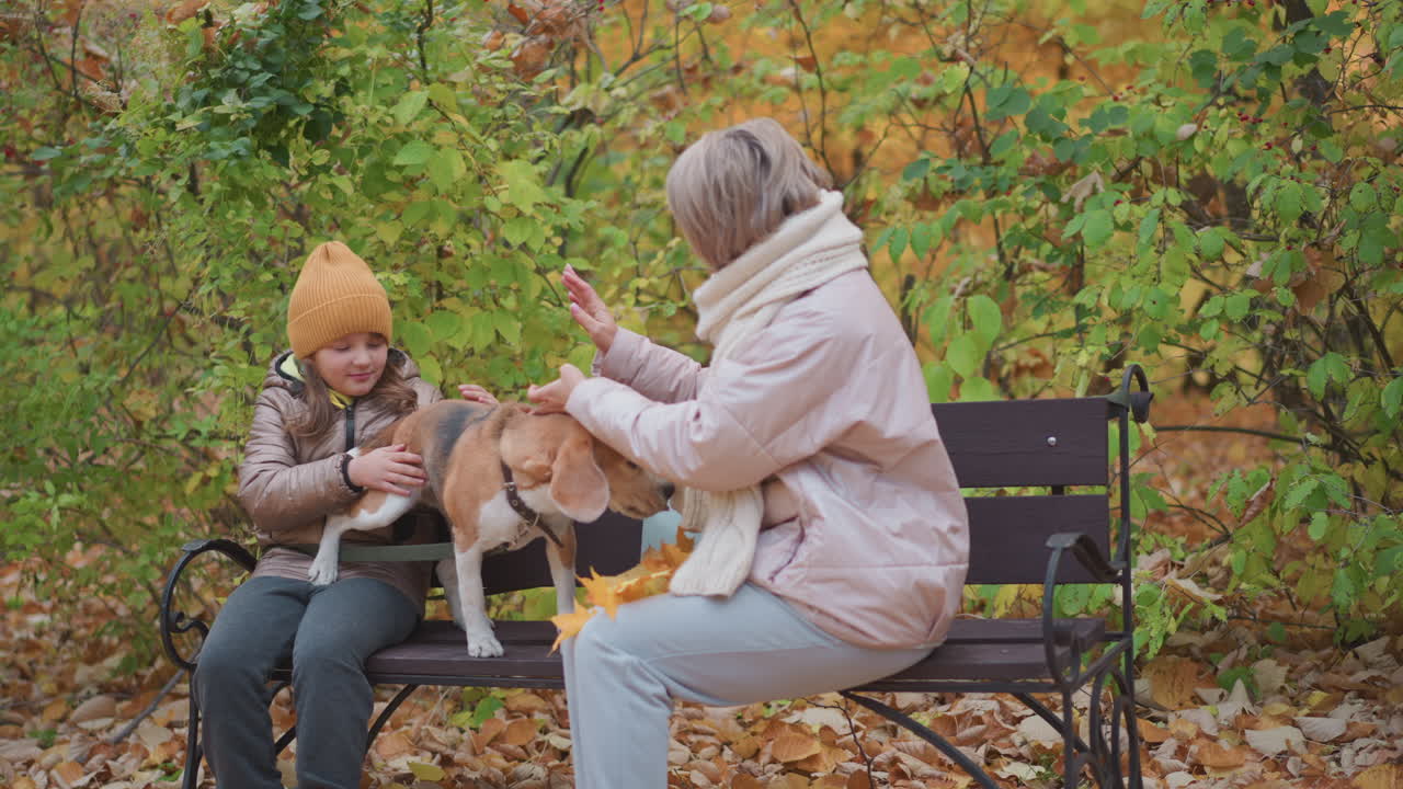 mother and daughter warmly interact with beagle sitting on park bench covered by fallen autumn leaves in peaceful forest, enjoying quality time together