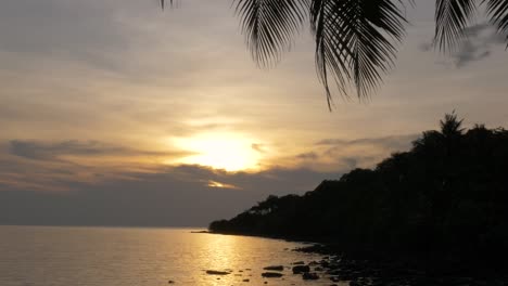 beautiful coastline sunset silhouette with palm tree foreground and reflection on the water - panning