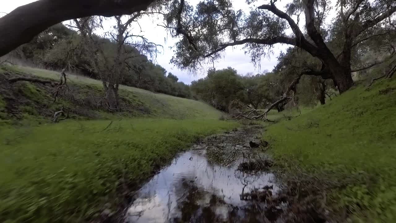 la mosca del dron baja hasta el suelo rastreando un pequeño arroyo que solo corre después de las tormentas de lluvia