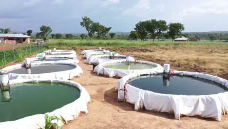 side view of fish pond