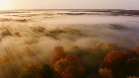 Sunbeams Piercing Through Morning Fog Over Autumn Forest